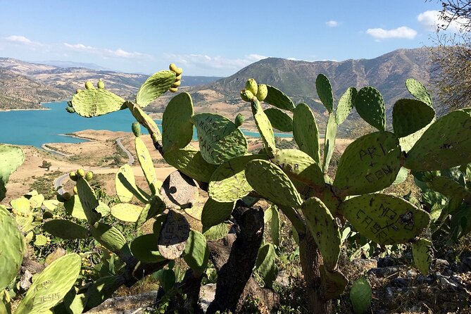 Wine, Tapas & Lake Zahara by e-bike incl Ronda pickup (full day) - Guides that make it feel easy: English and real-world help