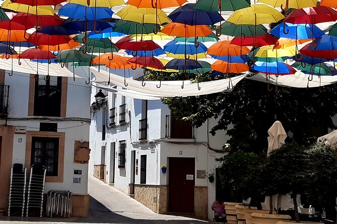 Wine & Tapas tour by electric bike (e-bike) including Ronda pickup (full day) - Montecorto: another quick village stop with good pacing