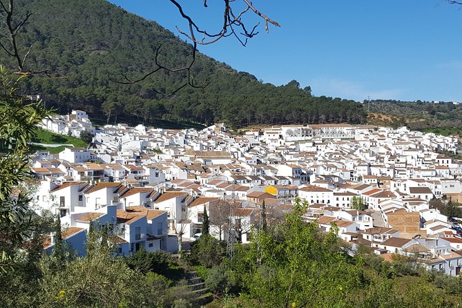 Wine & Tapas tour by electric bike (e-bike) including Ronda pickup (full day) - The wine and tapas part: included, social, and part of the plan