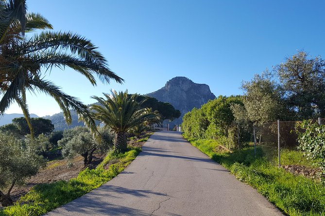 Wine & Tapas tour by electric bike (e-bike) including Ronda pickup (full day) - Riding on e-bikes: hills, views, and a calmer kind of effort