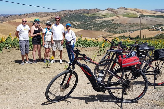Wine & Tapas tour by electric bike (e-bike) including Ronda pickup (half day) - Ronda to the White Villages: why this tour feels worth the money