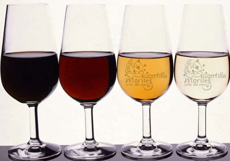 Wine Tasting and local tapas delight in Cordoba - Criaderas and solera aging: what you’ll learn and how it affects the glass