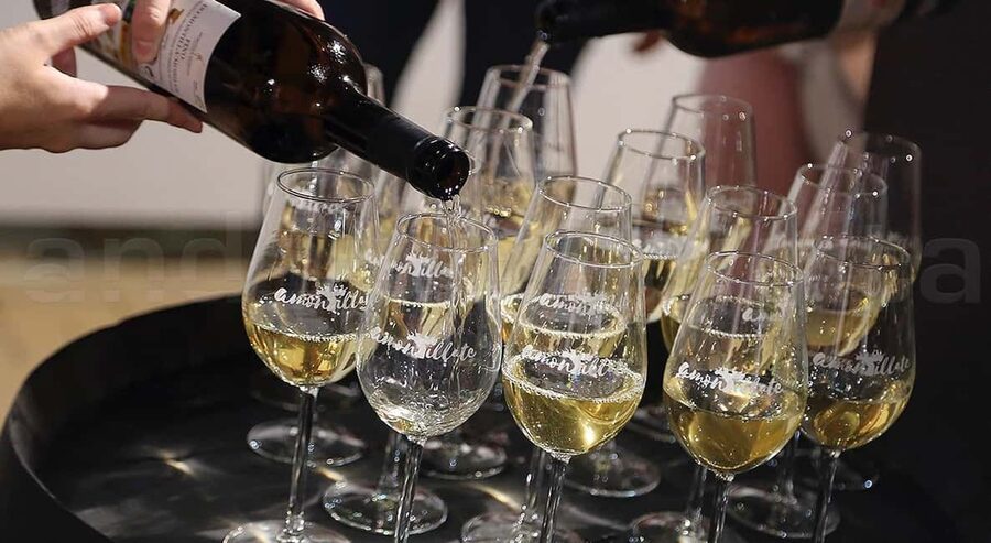 Wine Tasting and local tapas delight in Cordoba - The Montilla-Moriles specialist: step-by-step, no fear required