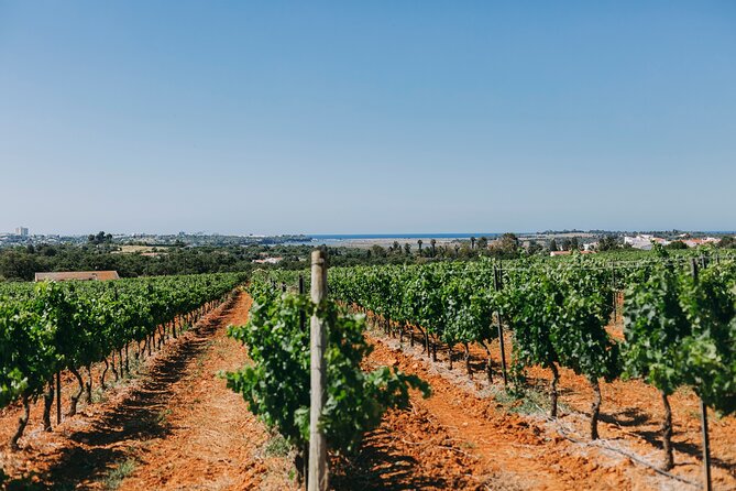 Wine Tasting & Tapas 4x4 Tours - Pickup from Sagres to Lagos: the easiest way to start