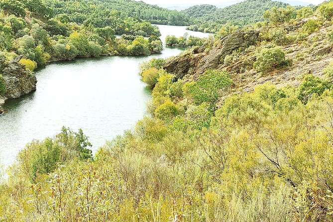 Wine Tasting & Tapas 4x4 Tours - Villa Alvor Wine & Tourism: the heart of the day