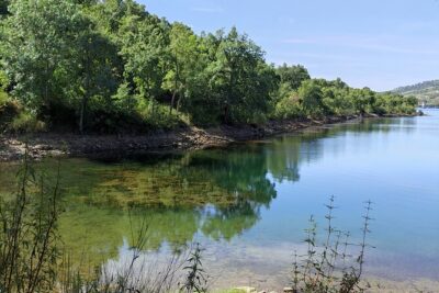 Wine Tasting & Tapas 4x4 Tours - Coffee and a short nature walk: where the tour slows down
