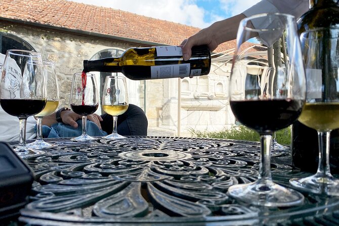 Wine Tasting with Tapas Walking Tour in Porto - How to plan around the walking and tastings