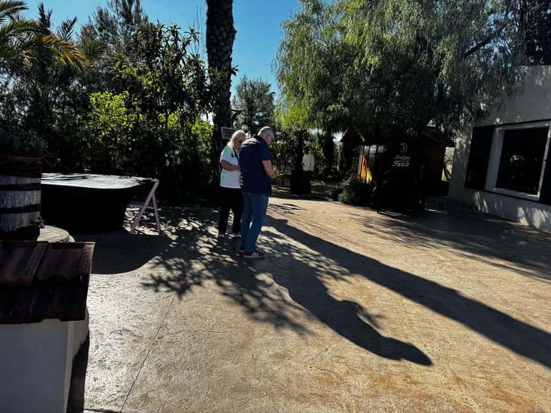 Winery Visit and Tasting in Elche with wines and tapas from Alicante in Van - Getting from Santa Pola to Elche: the van pickup and setup