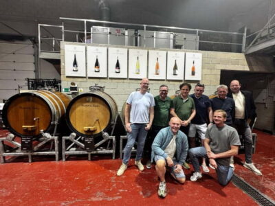 Winery Visit and Tasting in Elche with wines and tapas from Alicante in Van - Inside Faelo Winery: vineyards, museum, and the production rooms you actually want to see