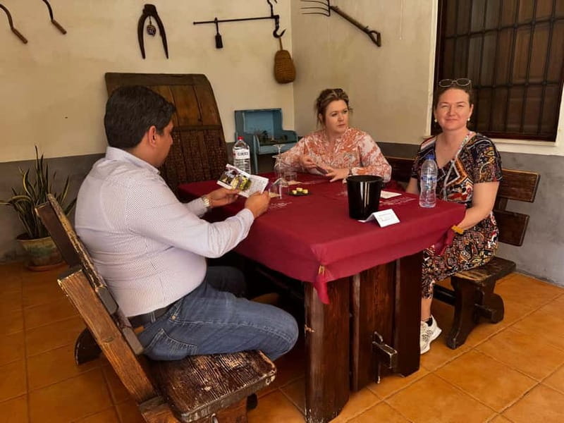 Winery Visit and Tasting in Elche with wines and tapas from Alicante in Van - Should you book this Elche winery tasting?
