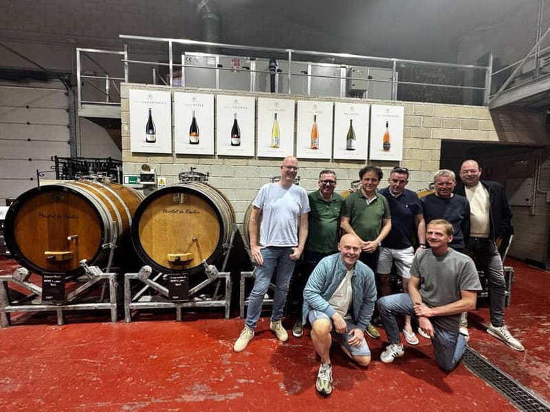 Winery Visit and Tasting in Elche with wines and tapas from Alicante in Van - Inside Faelo Winery: vineyards, museum, and the production rooms you actually want to see